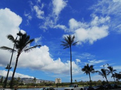 Waikiki_Holiday Surf Hotel_View 09